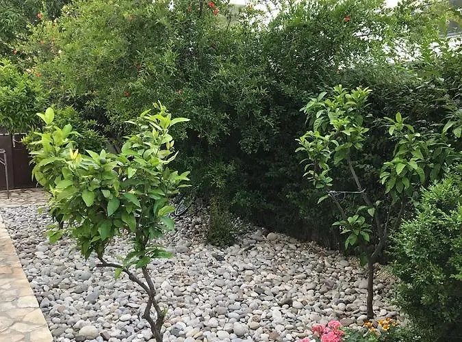 Ivo Gasthuis Stobreč